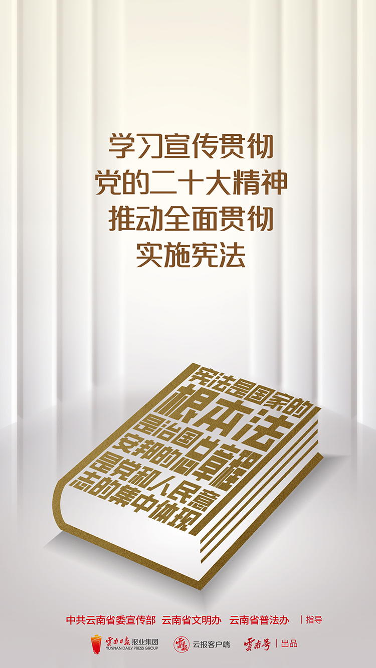學習宣傳貫徹黨的二十大精神 推動全面貫徹實施憲法 豎版.png